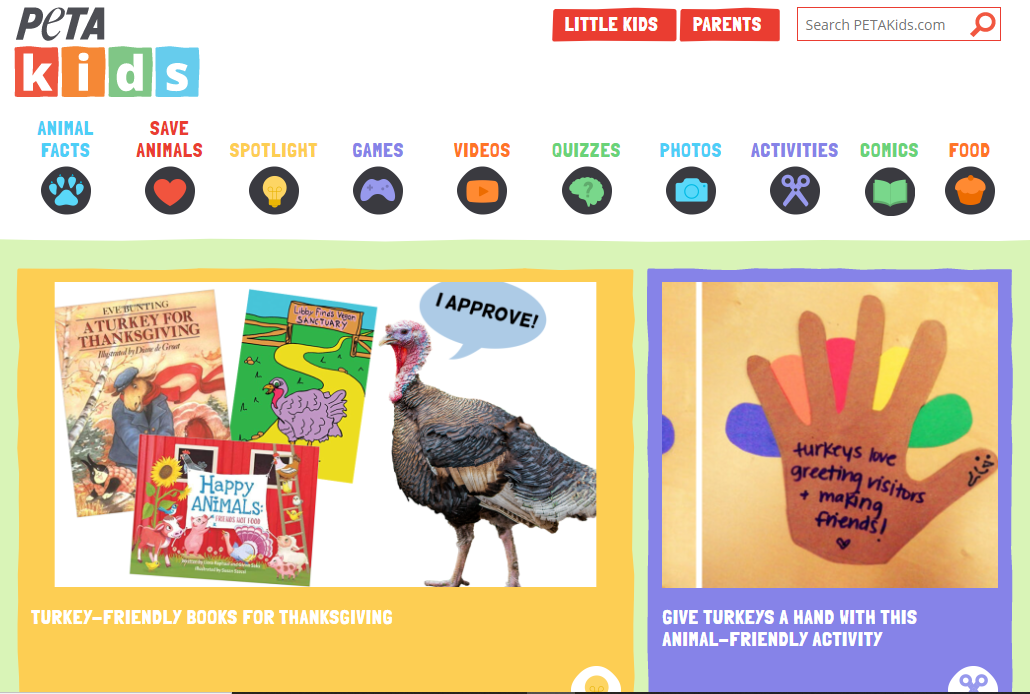 Portfolio Peta Kids WordPress Design